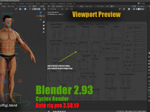 Male Female Base complete Rig 3D Model