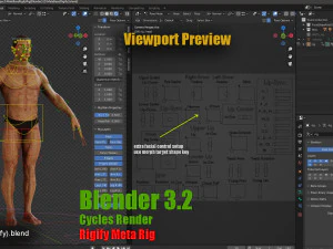 Male Female Base complete Rig 3D Model