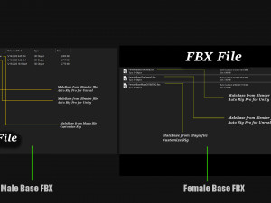 Male Female Base complete Rig 3D मॉडल