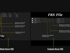 Male Female Base complete Rig 3D Model