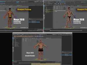 Male Base Three Rig Pack 3D Model