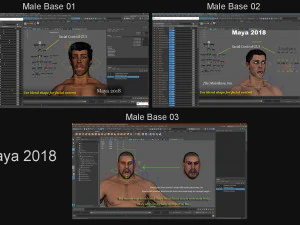 Male Base Three Rig Pack 3D Model