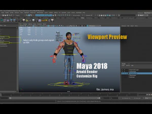 Rig Kartun James V2 Model 3D
