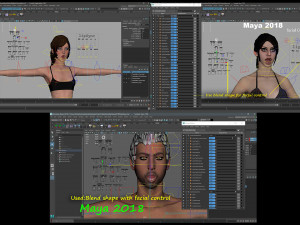 Male Female Base Mega Pack 3D Model