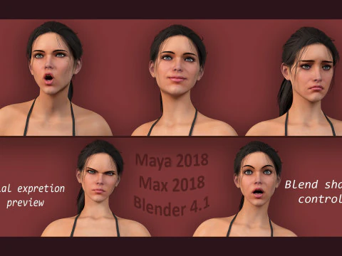 Female Base Rig 3D Model