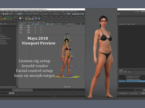 Female Base Rig 3D मॉडल
