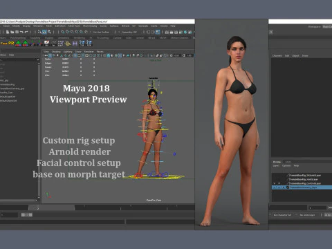 Female Base Rig 3D Model