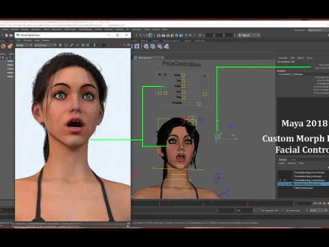 Female Base Rig 3D Model