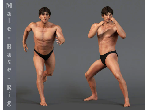 オスベースリグ 3Dモデル