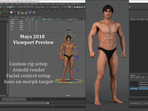 Male Base Rig 3D Model