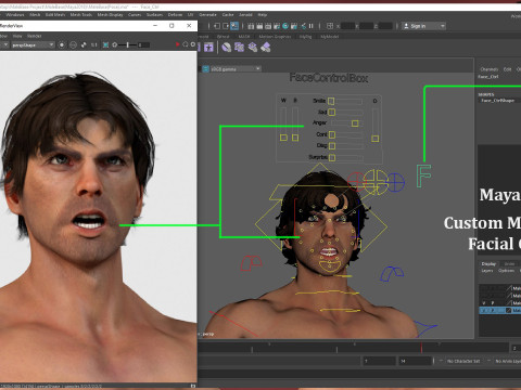 Male Base Rig Model 3D