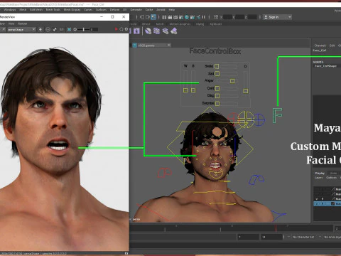 Male Base Rig 3D Model