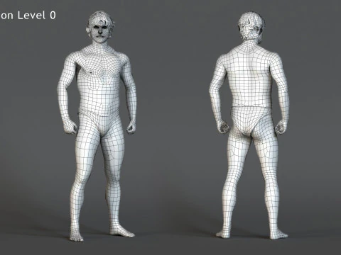 Male Base Rig 3D Model