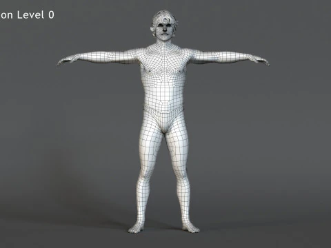 Male Base Rig 3D Model