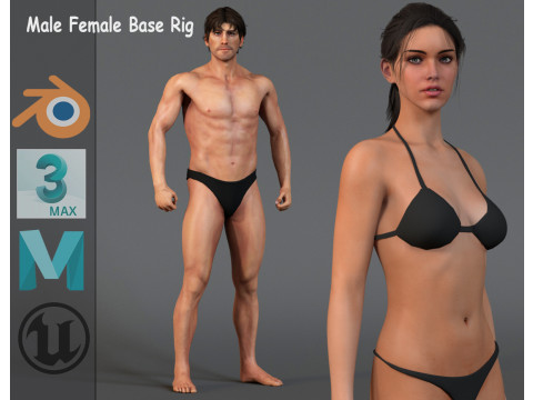 Male Female Base Rig 3Dモデル