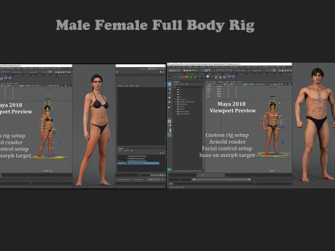 Equipamento Base Feminino Masculino Modelo 3D