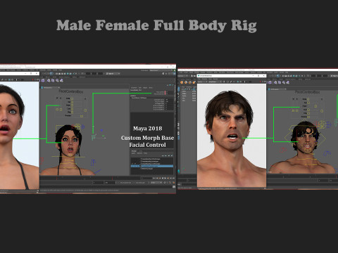 Male Female Base Rig Modelo 3D