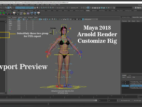 Female Base Model Full Rig 3D Model