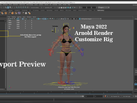 Female Base Model Full Rig 3D 模型