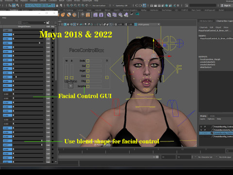 Female Base Model Full Rig 3D 模型
