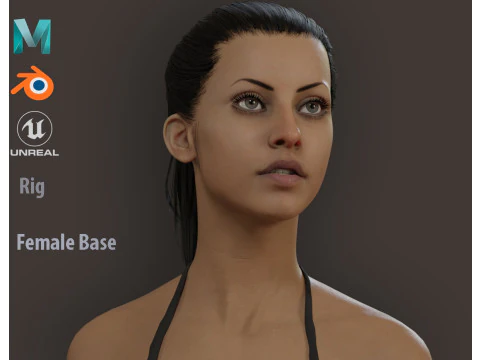 メスベースフルリグ 3Dモデル