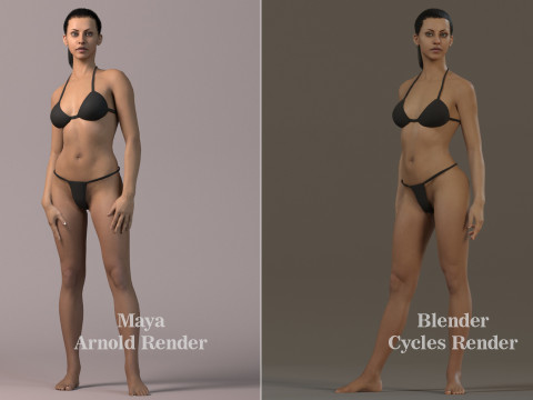 Female Base Full Rig 3Dモデル