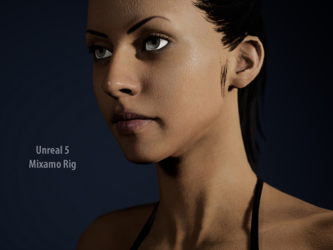 Female Base Full Rig 3Dモデル