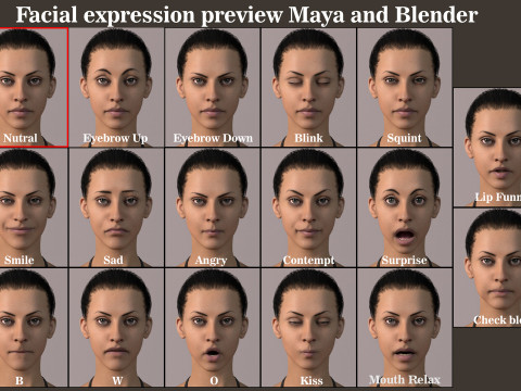 Female Base Full Rig 3Dモデル