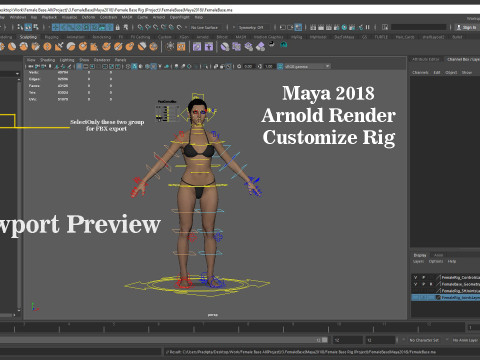 Female Base Full Rig 3Dモデル