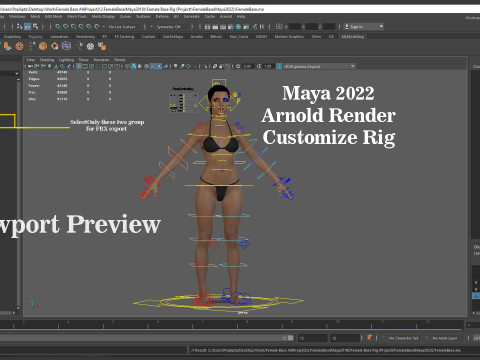 Female Base Full Rig 3Dモデル