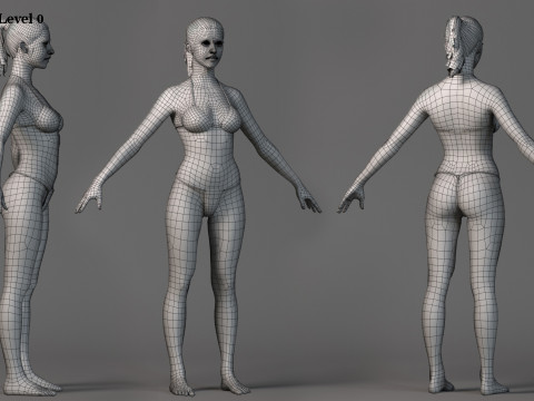 Female Base Full Rig 3Dモデル