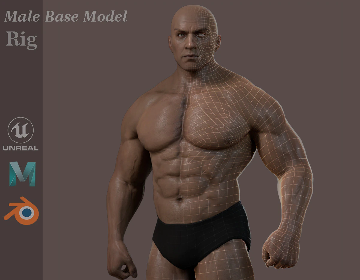 Male Base Muscle Rig 3D Model .c4d .max .obj .3ds .fbx .stl .blend 