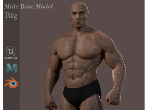 Male Base Muscle Rig 3D 모델