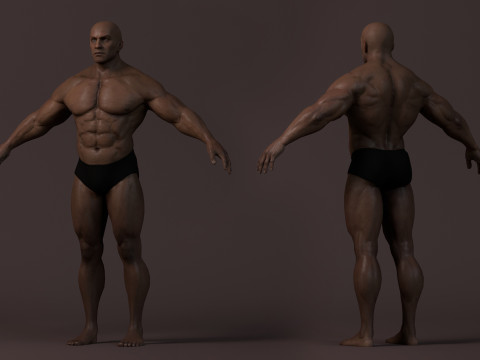 Male Base Muscle Rig 3D Model