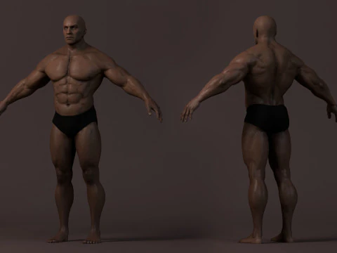 Male Base Muscle Rig 3D Model