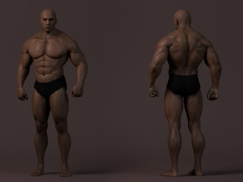 Male Base Muscle Rig 3D Model