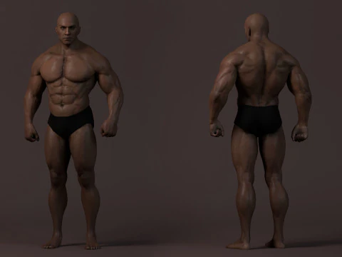 Male Base Muscle Rig 3D Model