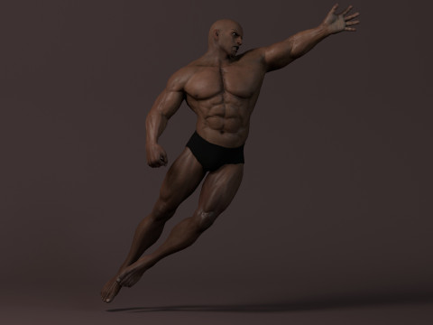 Male Base Muscle Rig 3D Model