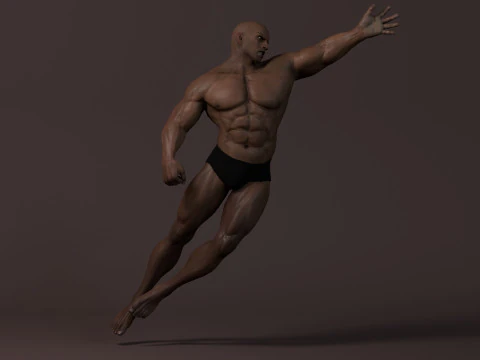 Male Base Muscle Rig 3D Model