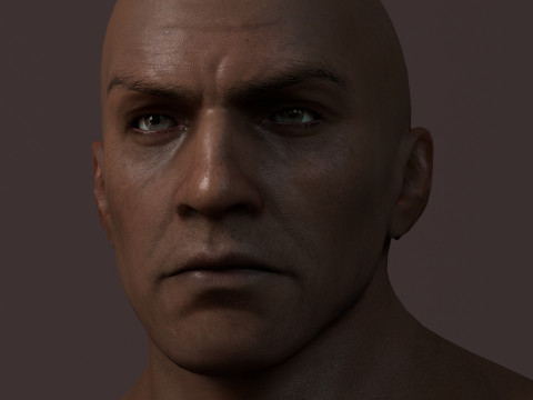 Male Base Muscle Rig 3D Model