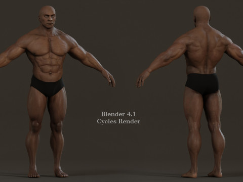 Male Base Muscle Rig 3D Model