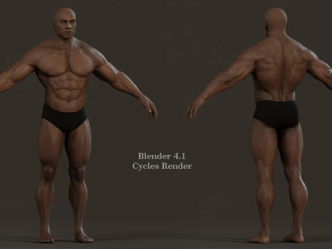 Male Base Muscle Rig 3D Model