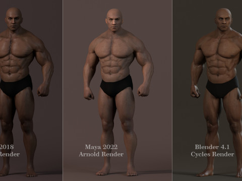 Male Base Muscle Rig 3D Model