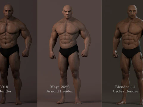 Male Base Muscle Rig 3D Model