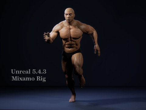 Male Base Muscle Rig 3D Model