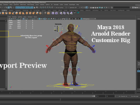 Male Base Muscle Rig 3D Model
