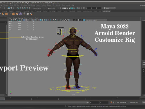 Male Base Muscle Rig 3D Model