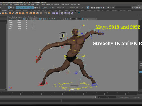 Male Base Muscle Rig 3D Model