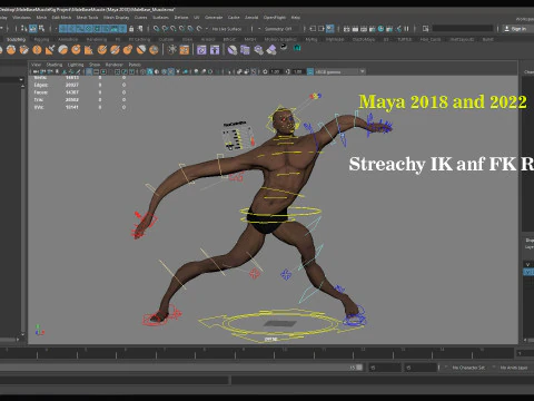 Male Base Muscle Rig 3D Model