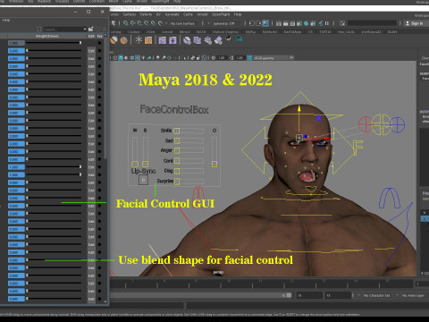 Male Base Muscle Rig 3D Model